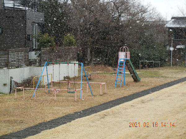 tomohiro's play ground.jpg